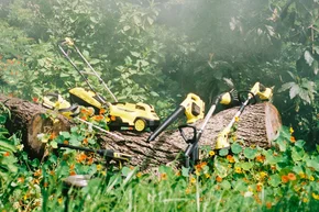 Verschiedene Gartengeräte auf einem Baumstamm